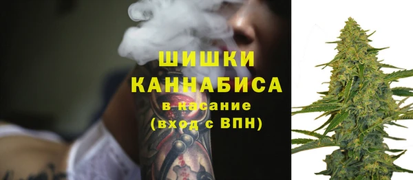 гашик Богородицк