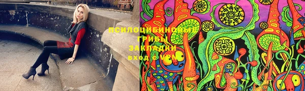 дживик Богданович