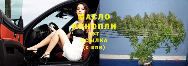 гашик Богородицк