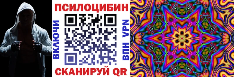 кракен ТОР  закладка  Княгинино  Галлюциногенные грибы Magic Shrooms 